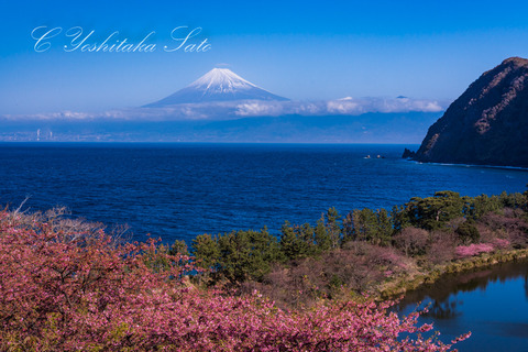 20190220-DSC02648.jpg
